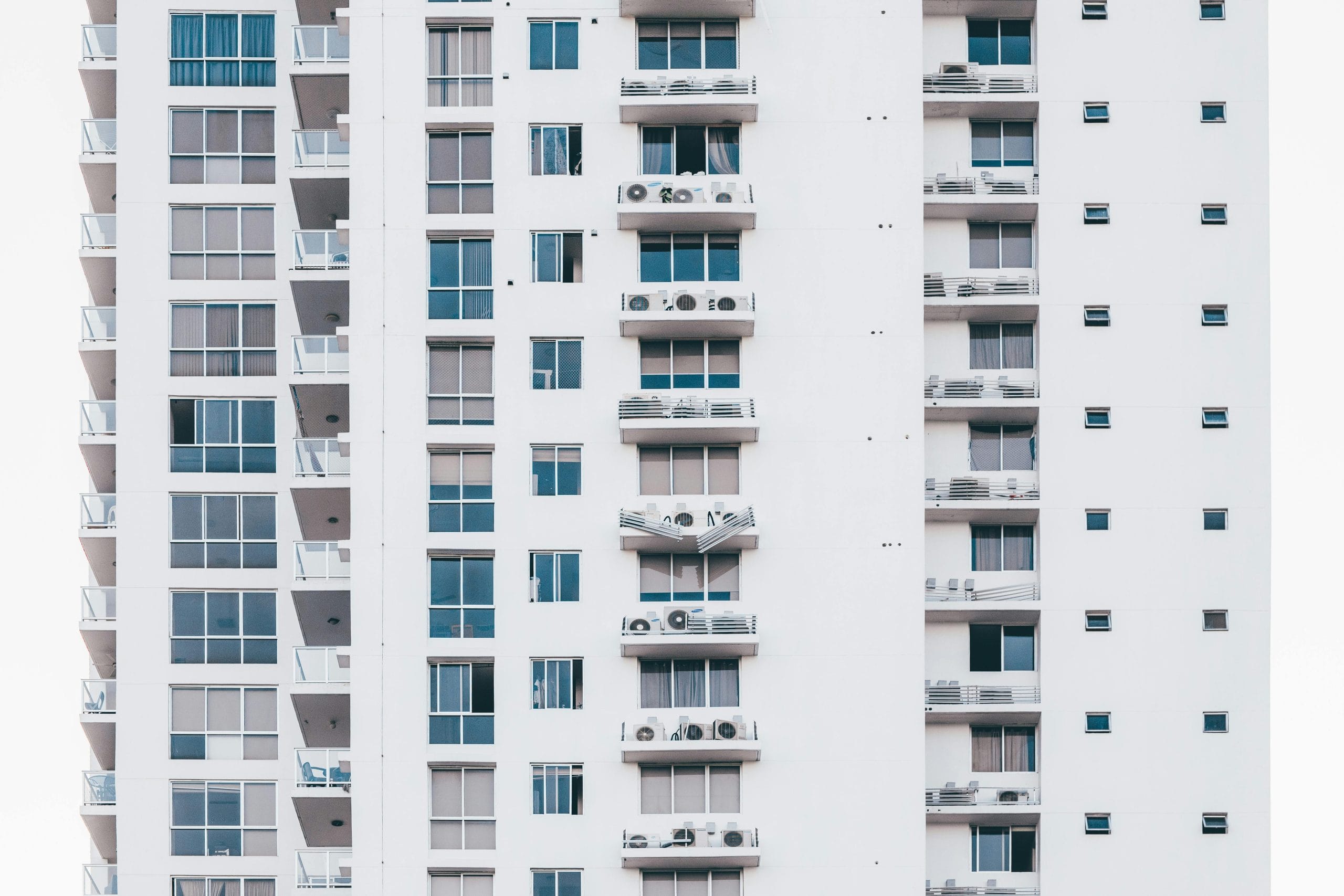 pexels-jibarofoto-2091634